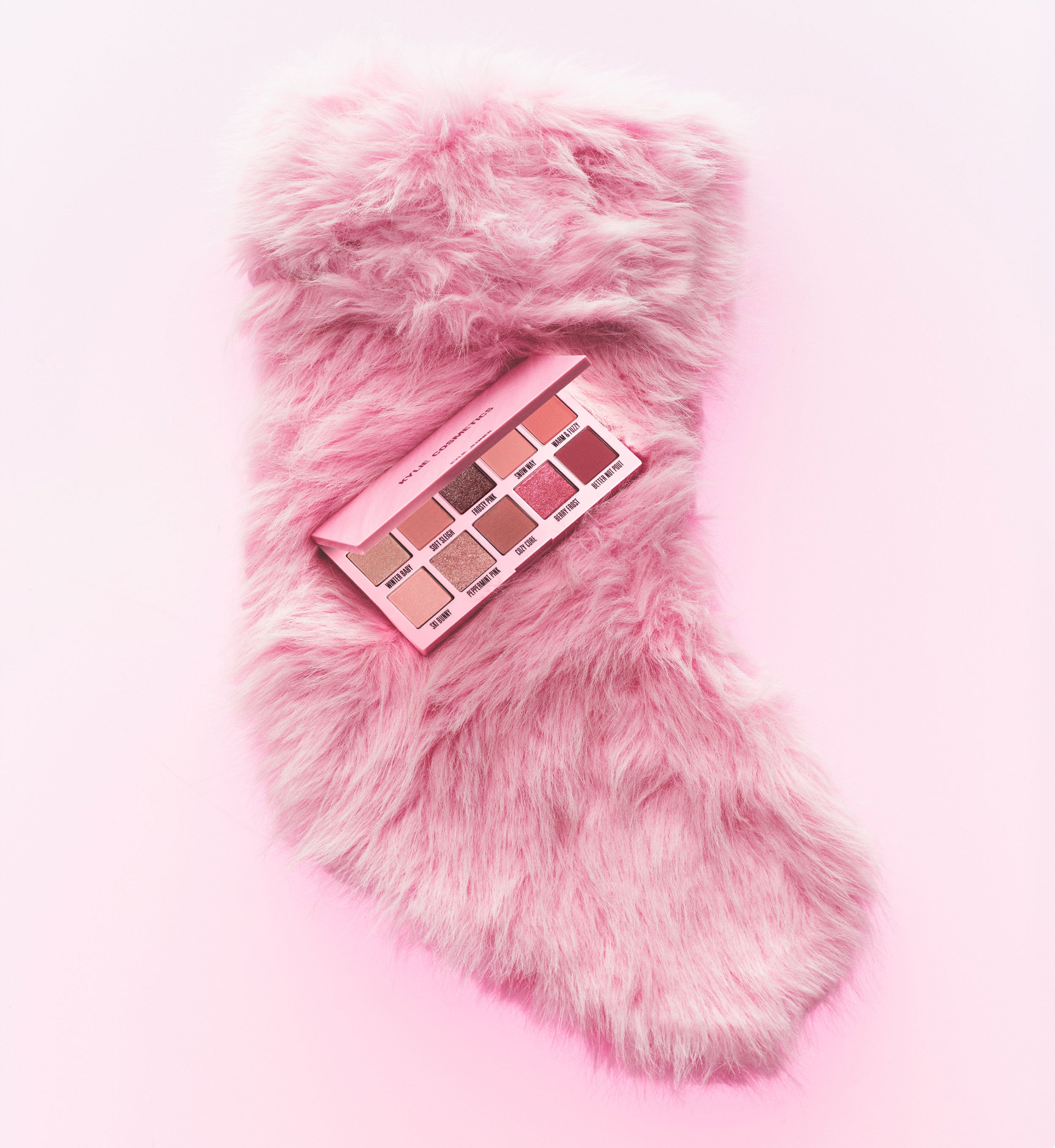 The Winter Kissed Palette