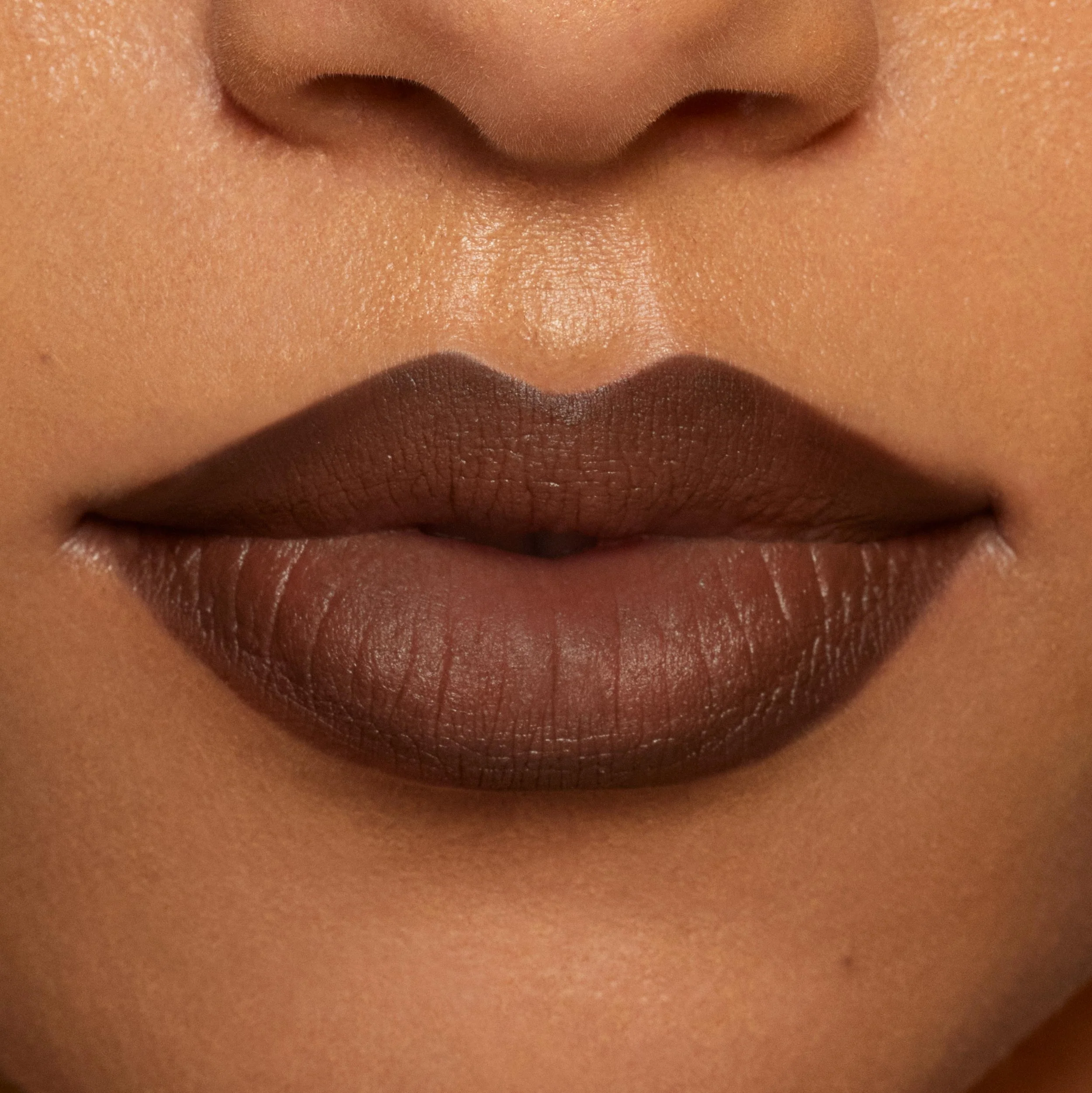 Plumping Matte Lip Kit